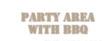 Party Area with BBQ